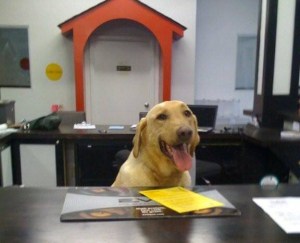 DDC Front Desk Pic