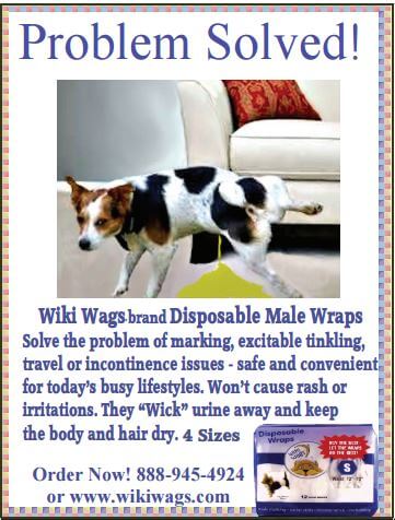 Wiki wags shop male dog wraps