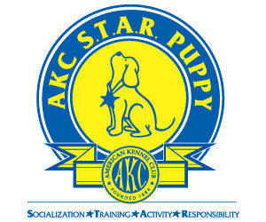 akc-star-puppy