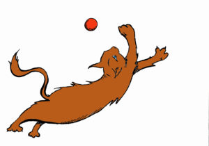 cat-soccer-copy