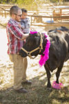 Hay_Day_sm045