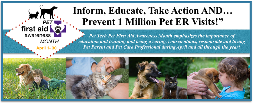 PEt First aid Awareness Month