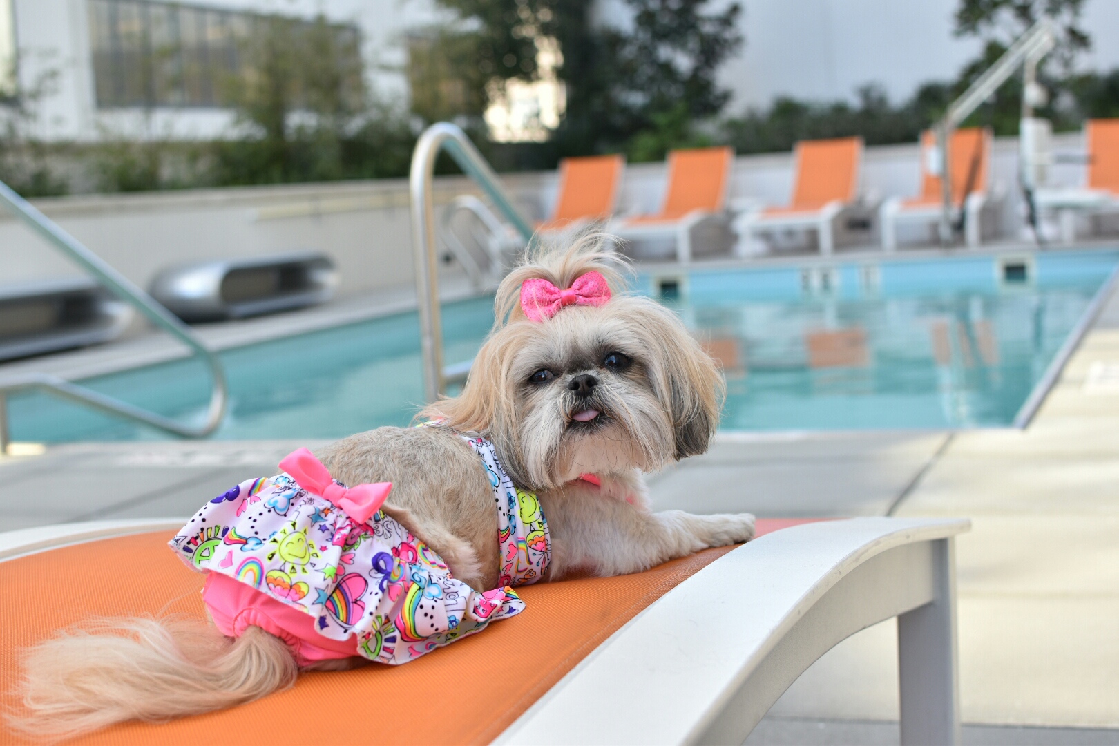 Sparkles Diva at Staff at The Aloft Hotel Downtown New Orleans with Sparkles