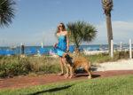 tradewinds – 1443888888_fido_lady_lab_02