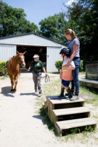 A therapy horse is led to a waiting client.