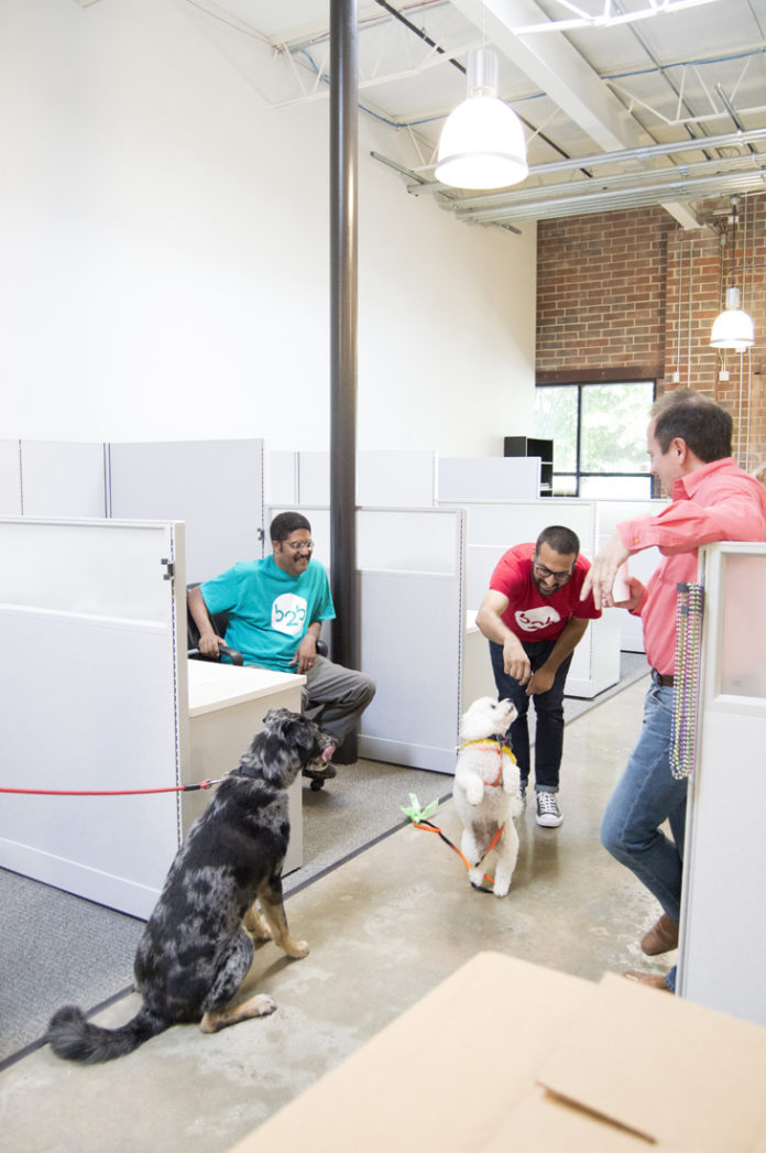 Linus dazzles onlookers. Left to right: Bryant o'Hara, Sprocket the catahoula, Linus the white poodle, Azim Manjee, and B2B’s CTO and co-founder Don Wolf.