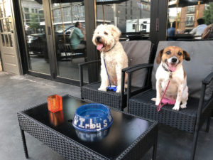 Irby’s Tavern: Irby’s Tavern is Buckhead’s latest watering hole and sports bar with a pooch-approved patio.