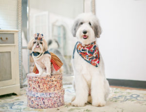 Sparkles the Diva and Sheepish Addie in designs by Mister Migs Photography by Mister Migs