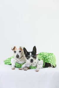Lucy and Holly wearing green school dresses with lace blouses designed by Lola & Pooch. Nina Parker Photography