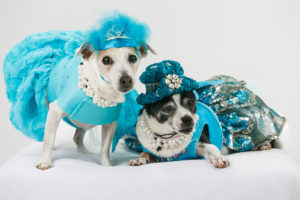 Lucy and Holly in dresses designed by Lola & Pooch, and hats designed by RaggDogDuds. Nina Parker Photography