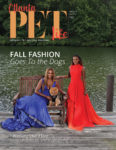 APL Fall 18_final_issuu