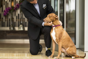 Four Seasons Hotel Atlanta puts your pet’s name on a sandwich board by the valet, so they’ll feel welcome from the first moment.