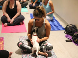 Visit atlantahumane.org for details on puppy yoga in January and February.