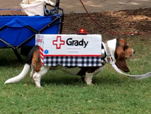 Doggy Con, Peaches as “Grady Ambulance,” BEST IN SHOW