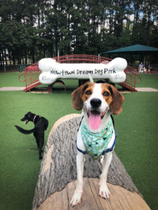 Newtown Dream Dog Park Parking