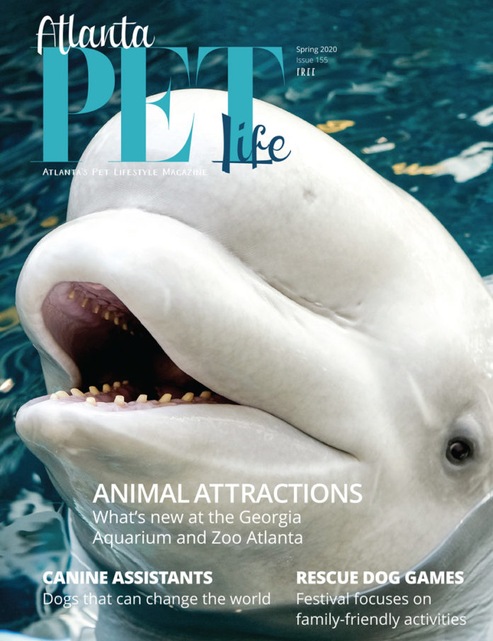 Animal Attractions - Atlanta Pet Life Cover story