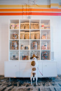 Looking to spoil your furry BFF? Wag-a-lot Upper Westside has local products galore!