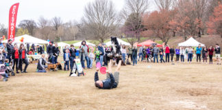 Festival focuses on dog- and familyfriendly activities, games, contests